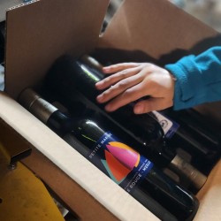 copy of Petite Marine 2019 - Rot