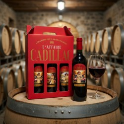 copy of Château Moutin 2019 Ambassadeur of Graves - Red